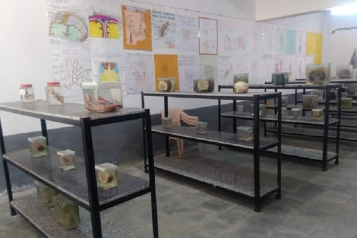 Merchant Homeopathic Medical College, Mehsana campus photo 2
