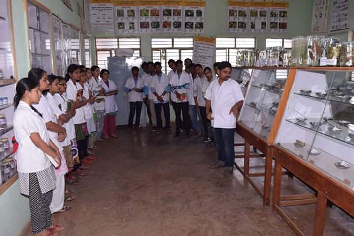 TMAES Ayurvedic Medical College, Hospet campus photo 4