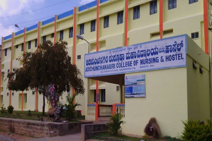 Adichunchanagiri College of Nursing, Mandya campus photo 5