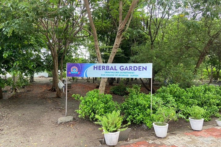 Eva College of Ayurved, Rajkot campus photo 3