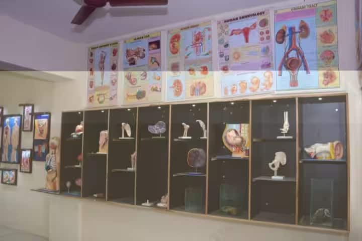Shri BG Garaiya Ayurveda College, Rajkot campus photo 5