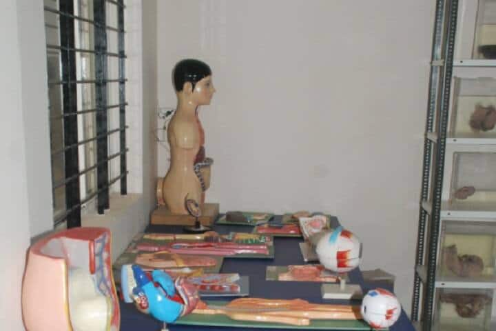 Krishna Ayurvedic Medical College and Hospital, Sankeshwar campus photo 5