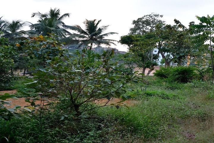 Prasanna College of Ayurveda and Hospital, Belthangady campus photo 5