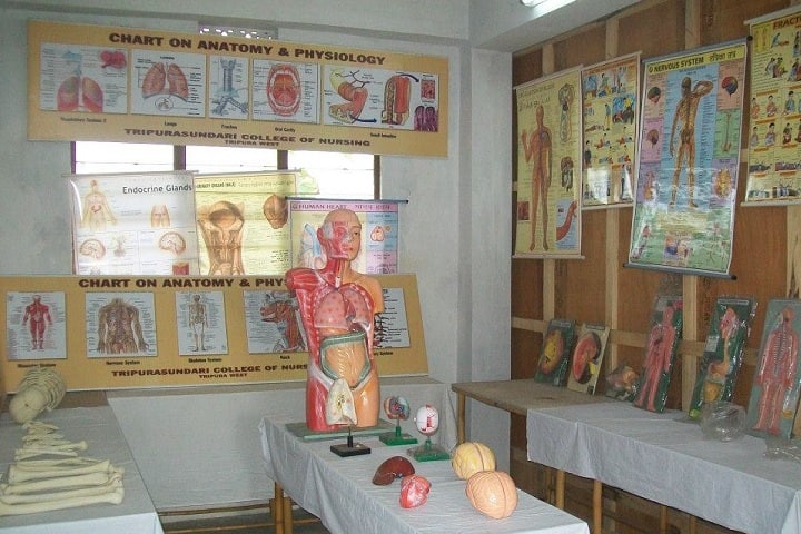 Tripurasundari College of Nursing, Agartala campus photo 3
