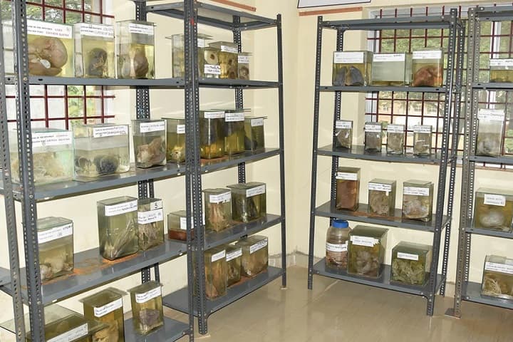 Sri Sathya Sai College of Homoeopathic Medical Science, Dharwad campus photo 2