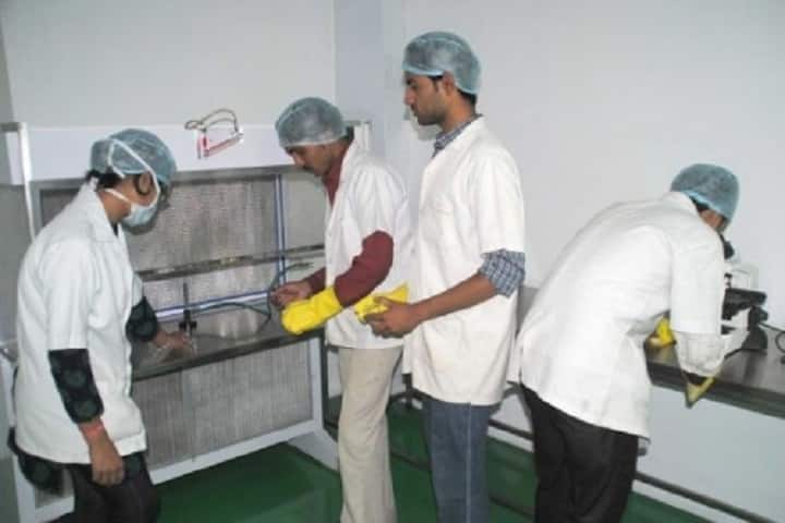 Mandsaur Institute of Pharmacy, Mandsaur campus photo 6