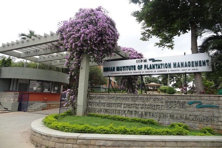 IIPM Bangalore campus photo 2