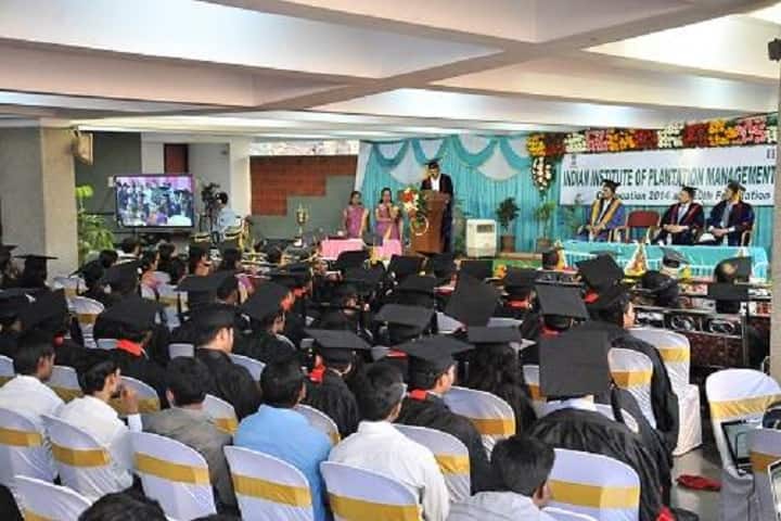 IIPM Bangalore campus photo 3