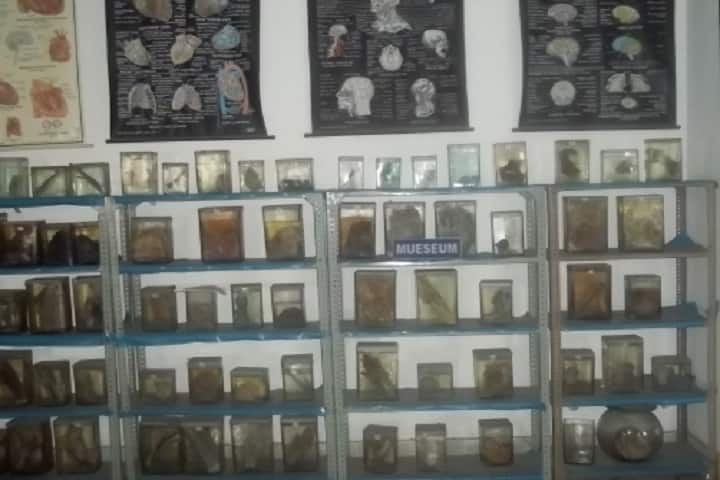 Anushree Homoeopathic Medical College, Jabalpur campus photo 4
