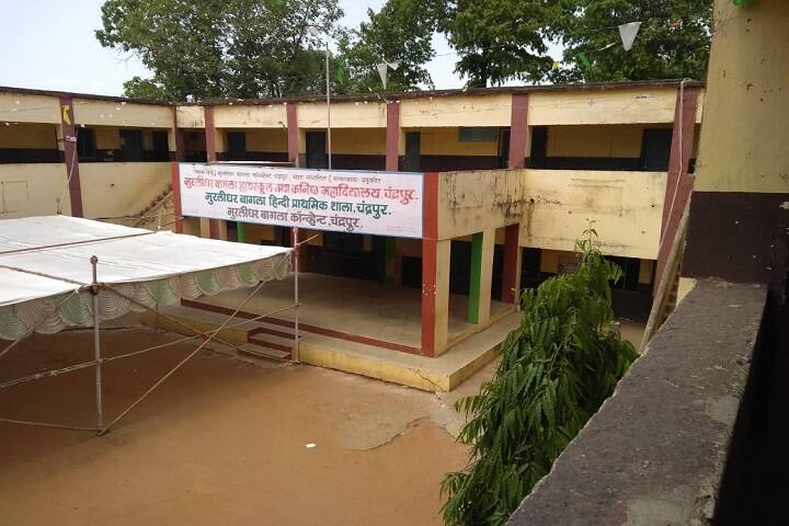 Purushottamdas Bagla Homoeopathic Medical College and Hospital, Chandrapur campus photo 2