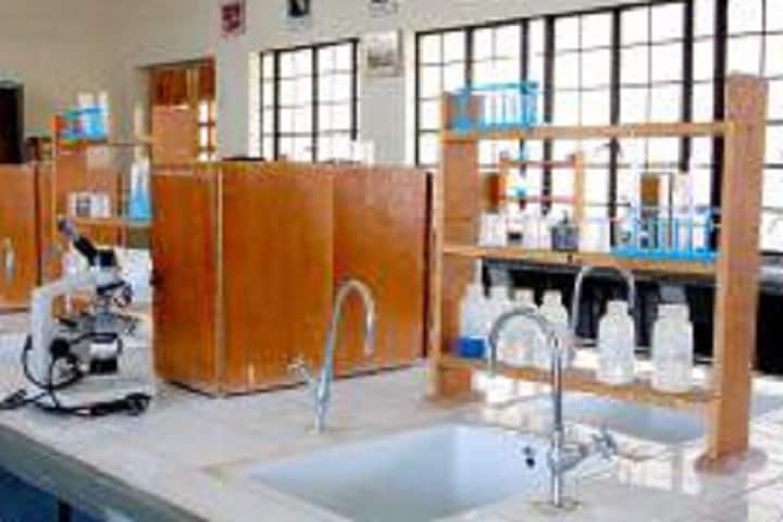 Swami Vivekanand Homoeopathic Medical College and Hospital, Bhavnagar campus photo 2