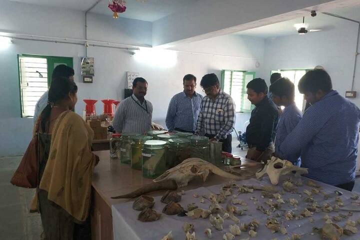 SS and N Animal Husbandry Polytechnic, Narasaraopet campus photo 5