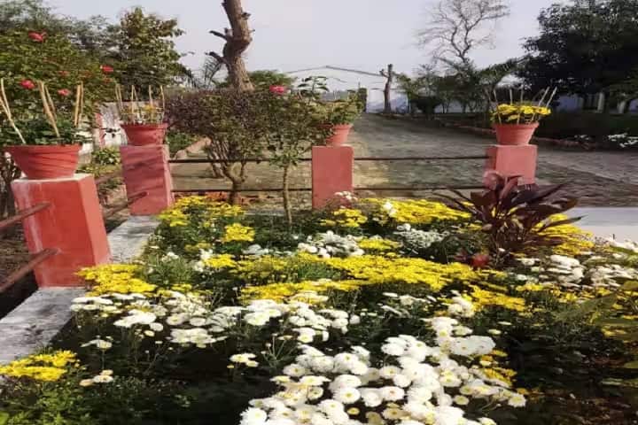 Shri Chintamani Smarak Vidhi Mahavidyalaya, Pratapgarh campus photo 5