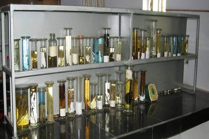 White Memorial Homoeo Medical College, Kanyakumari campus photo 4