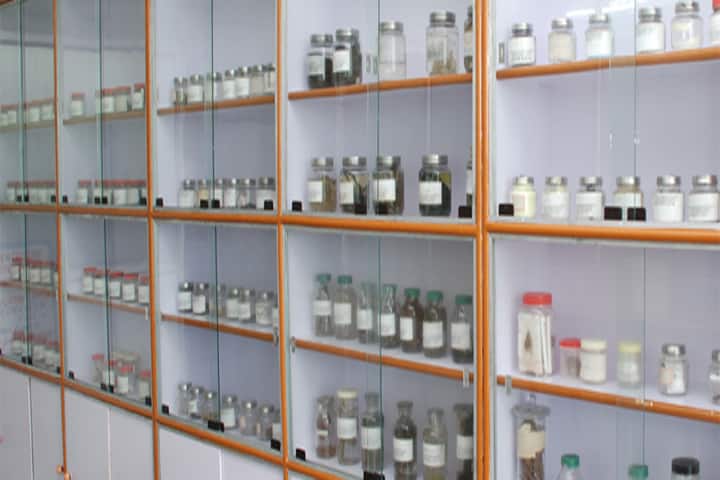 Hahnemann Homoeopathic Medical College and Hospital, Bhopal campus photo 3