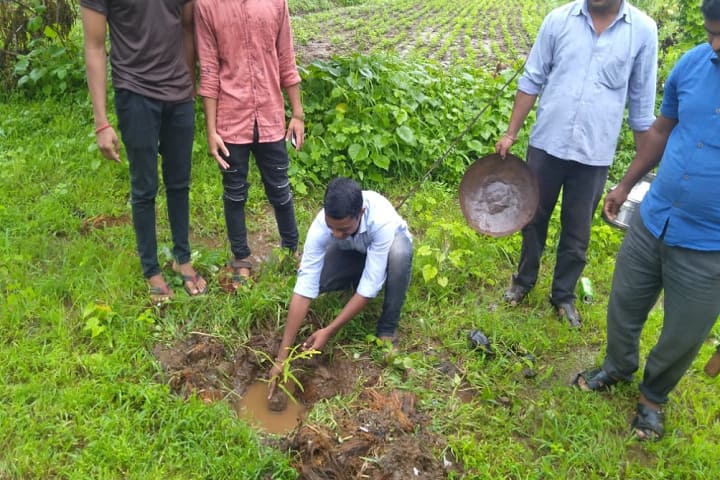 Satara Polytechnic, Satara campus photo 5