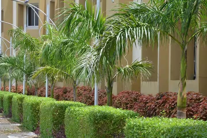 College of Dairy Science, Amreli campus photo 2