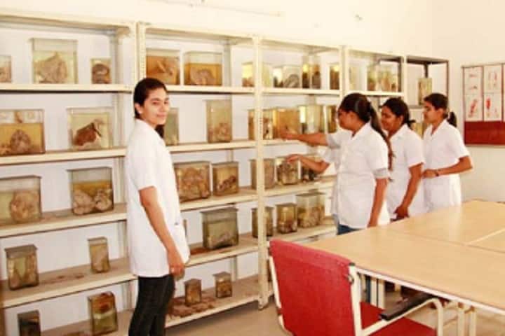 Apollo College of Physiotherapy, Durg campus photo 3