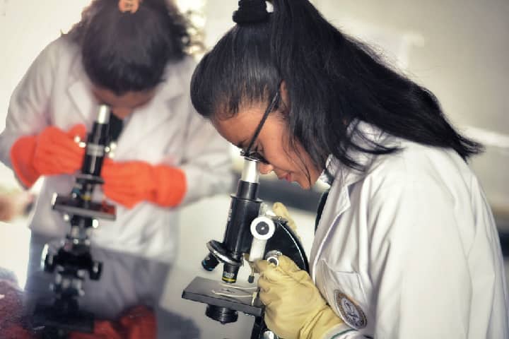 NETES Institute of Pharmaceutical Science, Kamrup campus photo 5