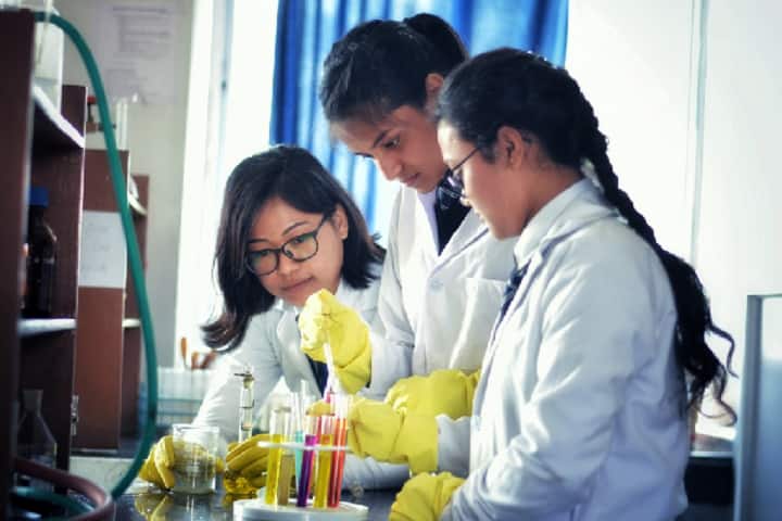 NETES Institute of Pharmaceutical Science, Kamrup campus photo 3
