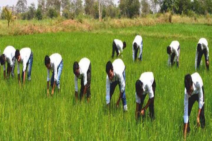 Bharti College of Agricultural Engineering, Durg campus photo 2