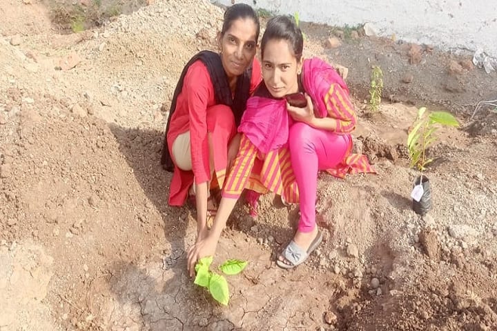 VIHMC Sangamner campus photo 4