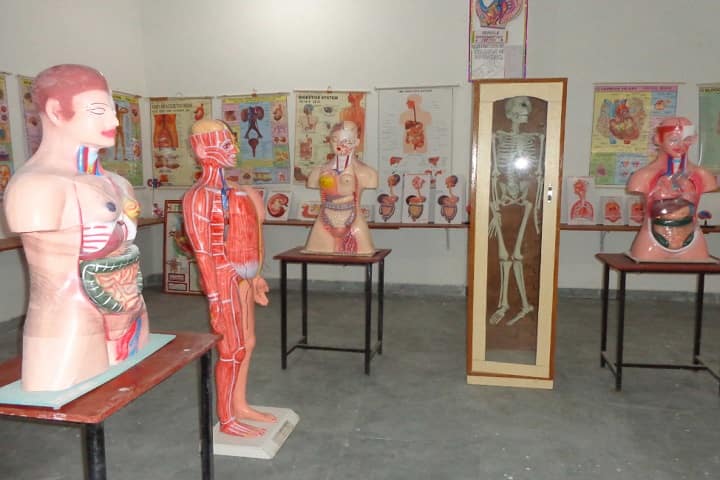 Rajasthan College of Nursing, Jhunjhunu campus photo 5