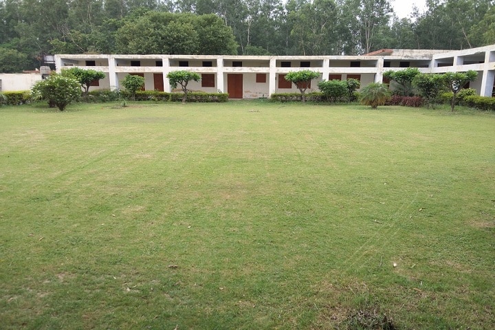 Maharana Pratap National College, Mullana campus photo 5