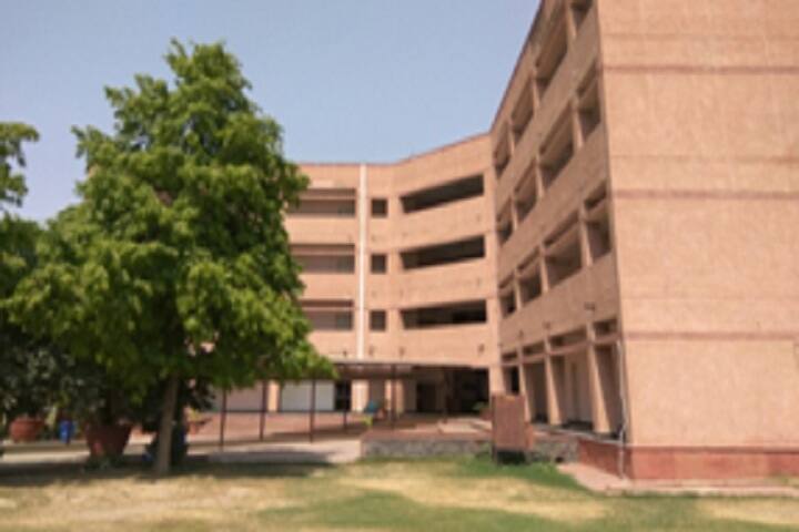 National Institute of Labour Economics Research and Development, Delhi campus photo 6
