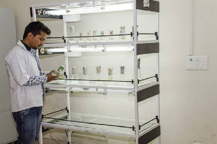 Arni School of Art and Humanities, Kangra campus photo 2