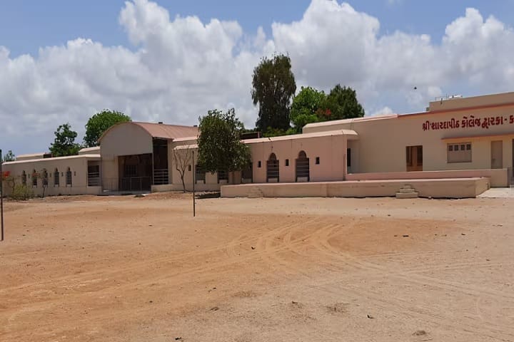 Shree Shardapeeth Arts, Commerce and Education College, Dwarka campus photo 2