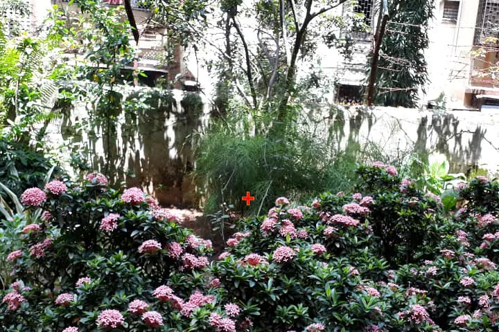 Shailendra Education Society's Arts, Science and Commerce College, Mumbai campus photo 3