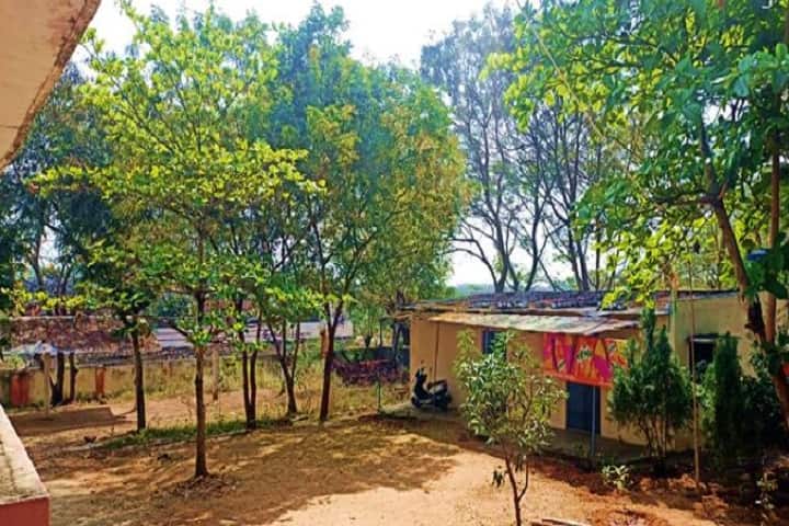SG Government Degree College, Chittoor campus photo 2