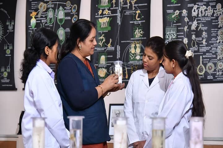 Nirmala College, Ujjain campus photo 6