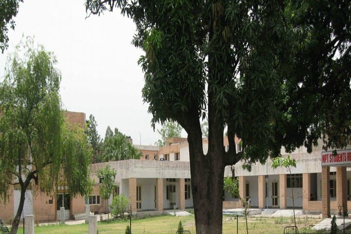 Mother Teresa Saket College of Physiotherapy, Panchkula campus photo 3