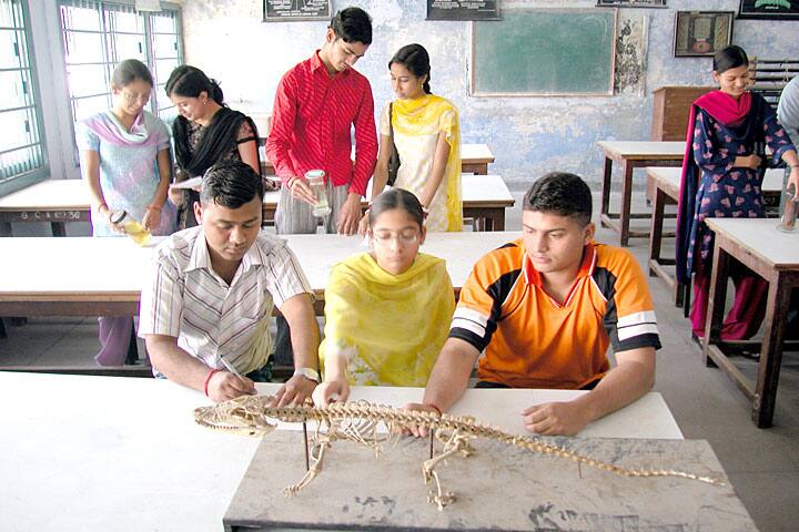 NJSA Kapurthala campus photo 6