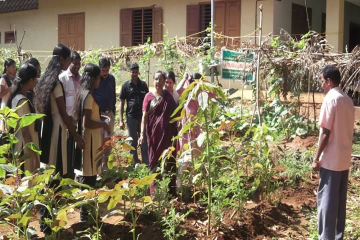 Government Women's Polytechnic College, Kozhikode campus photo 4