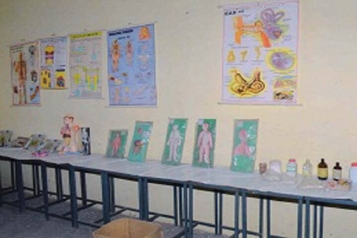 Smt Dhapudevi Memorial Mahavidyalaya, Barmer campus photo 4