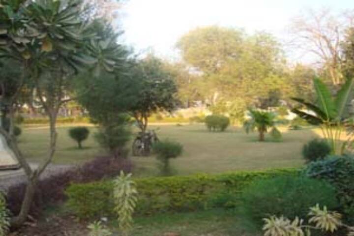 J and J College of Science, Nadiad campus photo 4