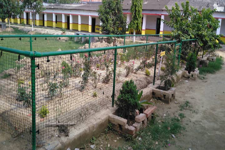 Janta Koshi College, Biraul campus photo 2