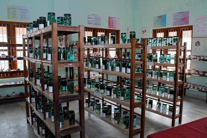 Mannam Ayurveda Co-Operative Medical College, Pandalam campus photo 3