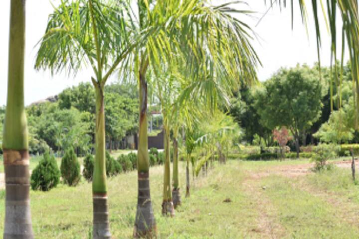 Loyola College, Tiruvannamalai campus photo 3