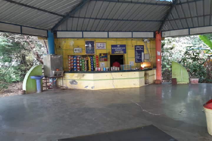 SGSITS Ujjain campus photo 3