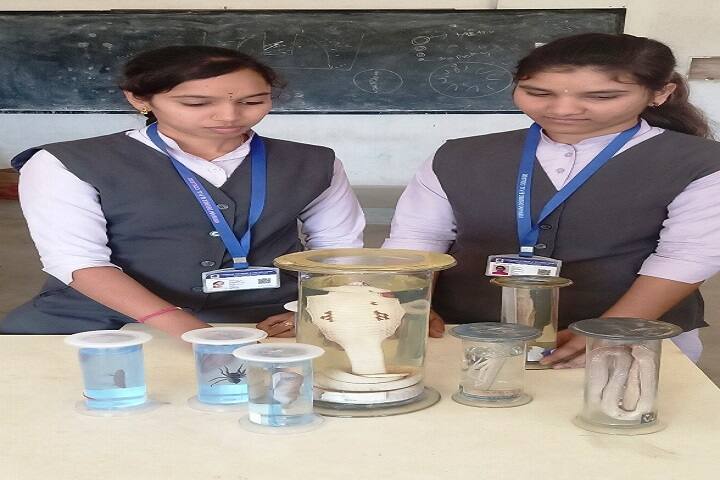 Viswam Degree and PG College, Madanapalle campus photo 4