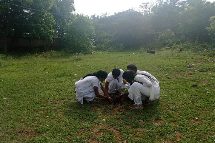 St Paul's College of Arts and Science for Women, Coimbatore campus photo 5