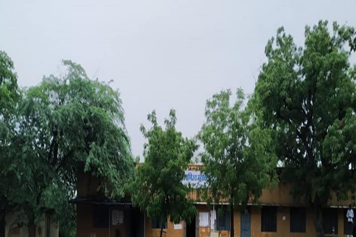 Government Commerce College, Alwar campus photo 2