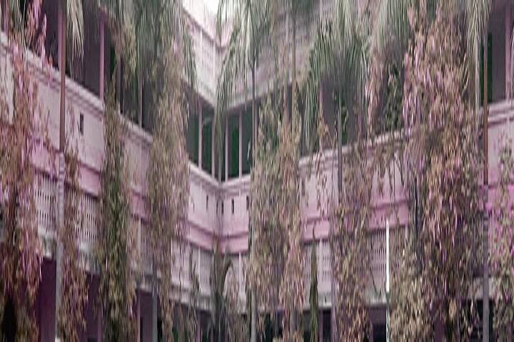 Late Narayanrao Amritrao Deshmukh Arts and Commerce College, Amravati campus photo 2