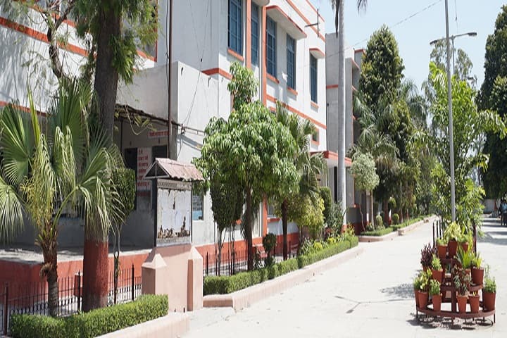 Multanimal Modi College, Modinagar campus photo 6