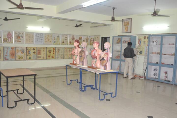 Sai College of Elementary Teacher Education, Rajahmundry campus photo 4