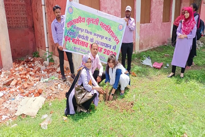 Government Tulsi College, Anuppur campus photo 2